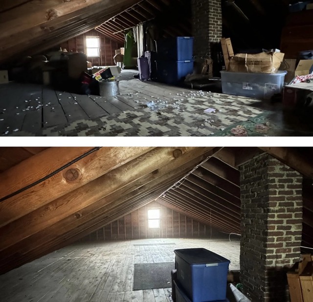Basement Cleanouts (NH & MA):