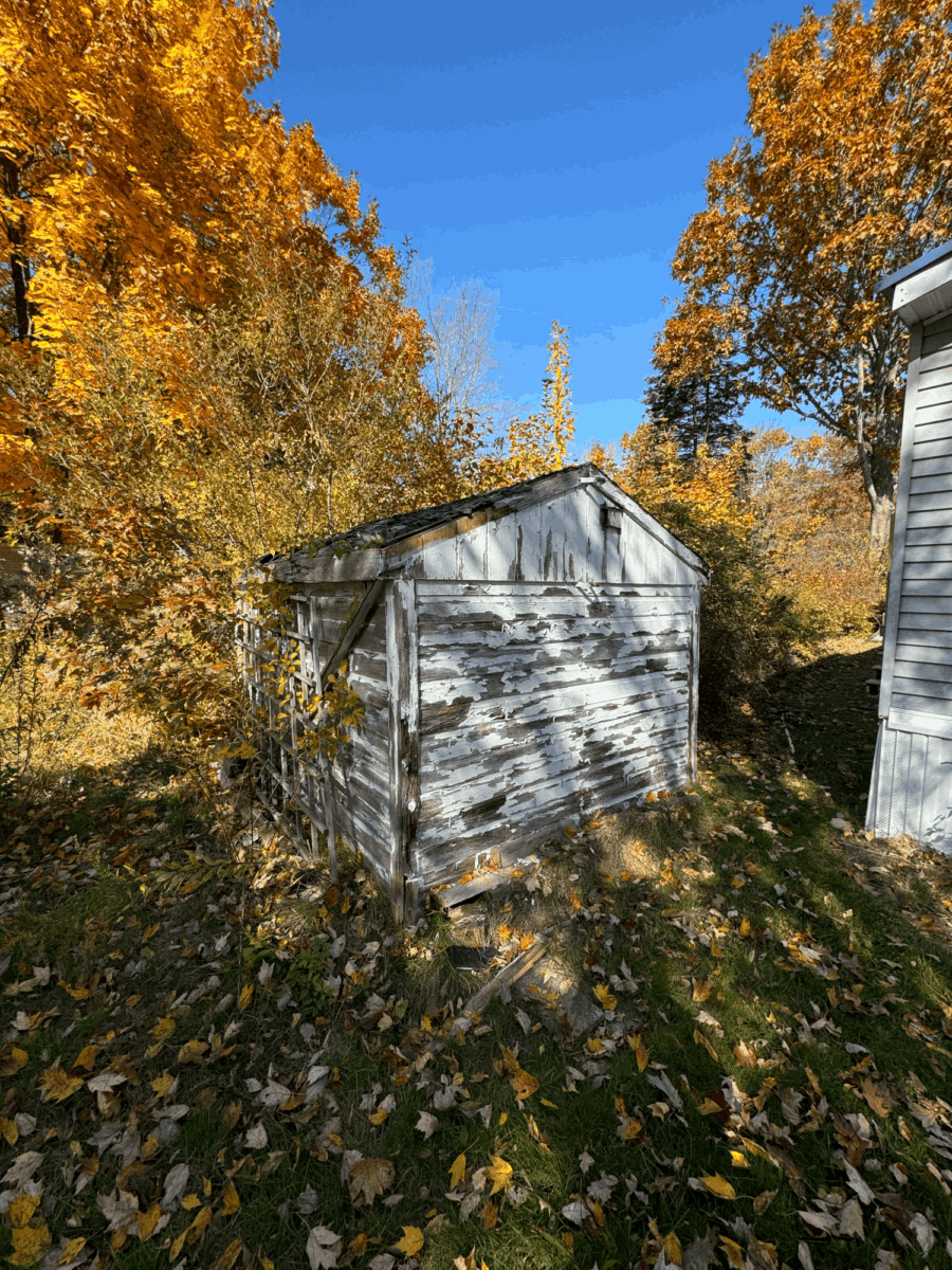 Shed Tear Down