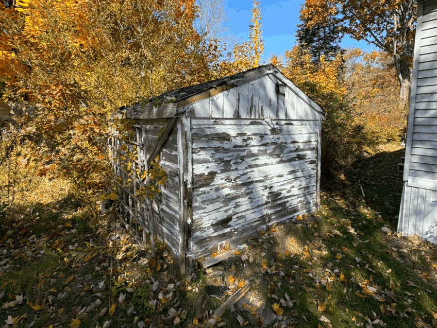 Shed Tear Down