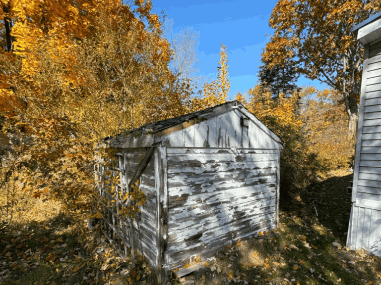 5 Signs It's Time to Demo Your Shed: Should You Repair or Remove It?