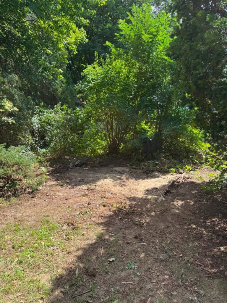shed removal