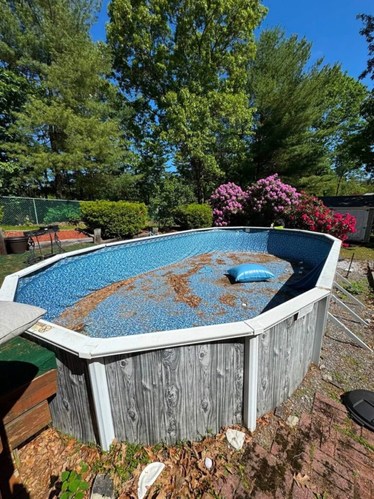 Pool Removal