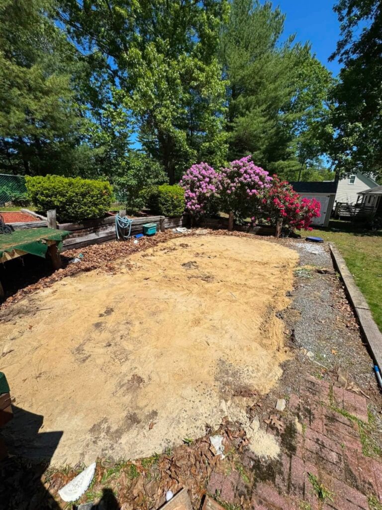 Pool Removal