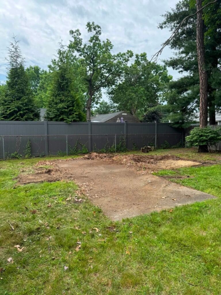 shed removal and demolition